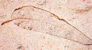 An example of our work